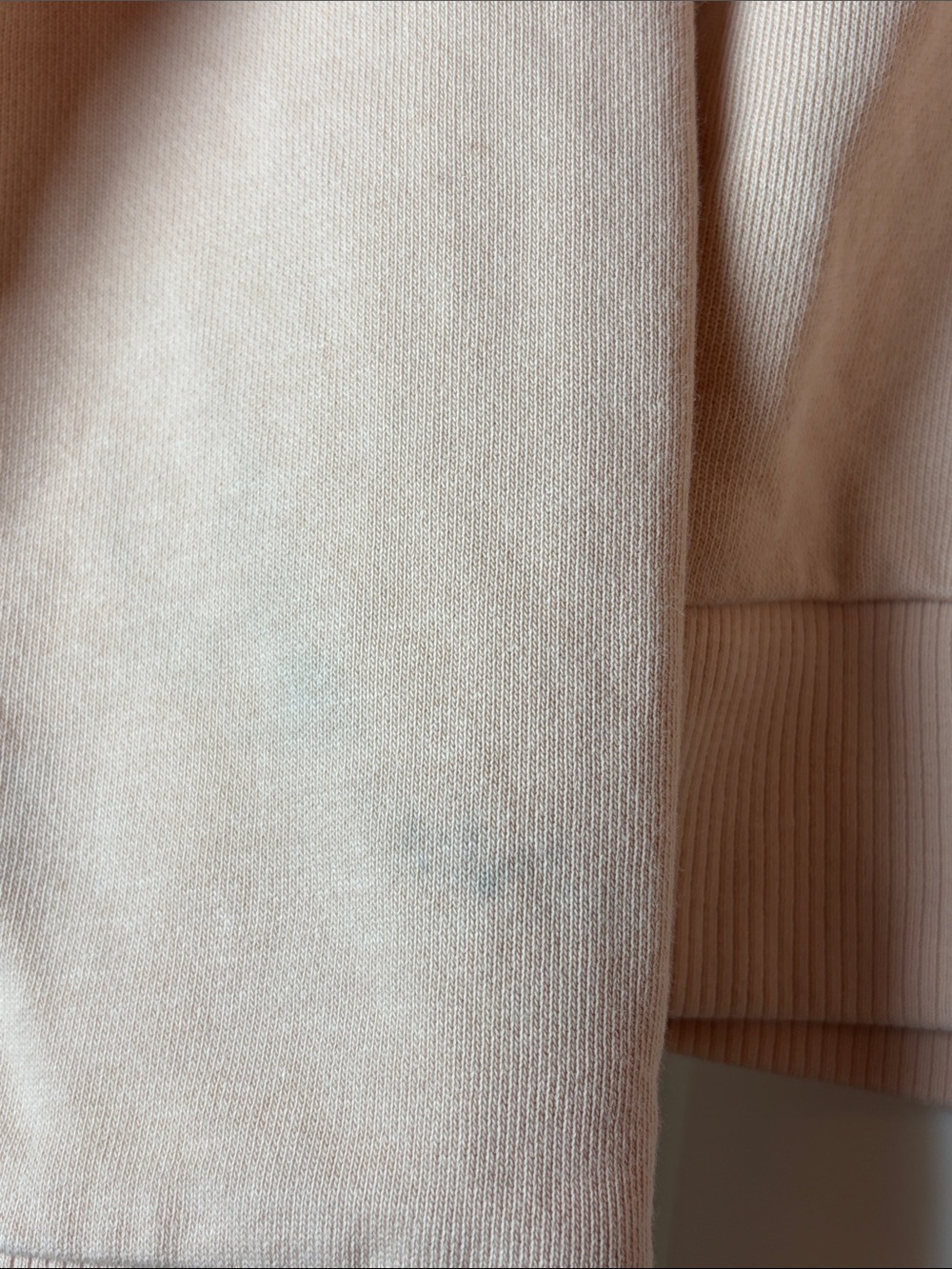 Patagonia Regenerative Organic Certified Cotton Light Peach Crewneck Sweatshirt - Picture 3 of 9